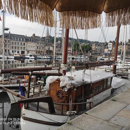 Proche Honfleur Gite Avec Piscine Équemauville Екстериор снимка