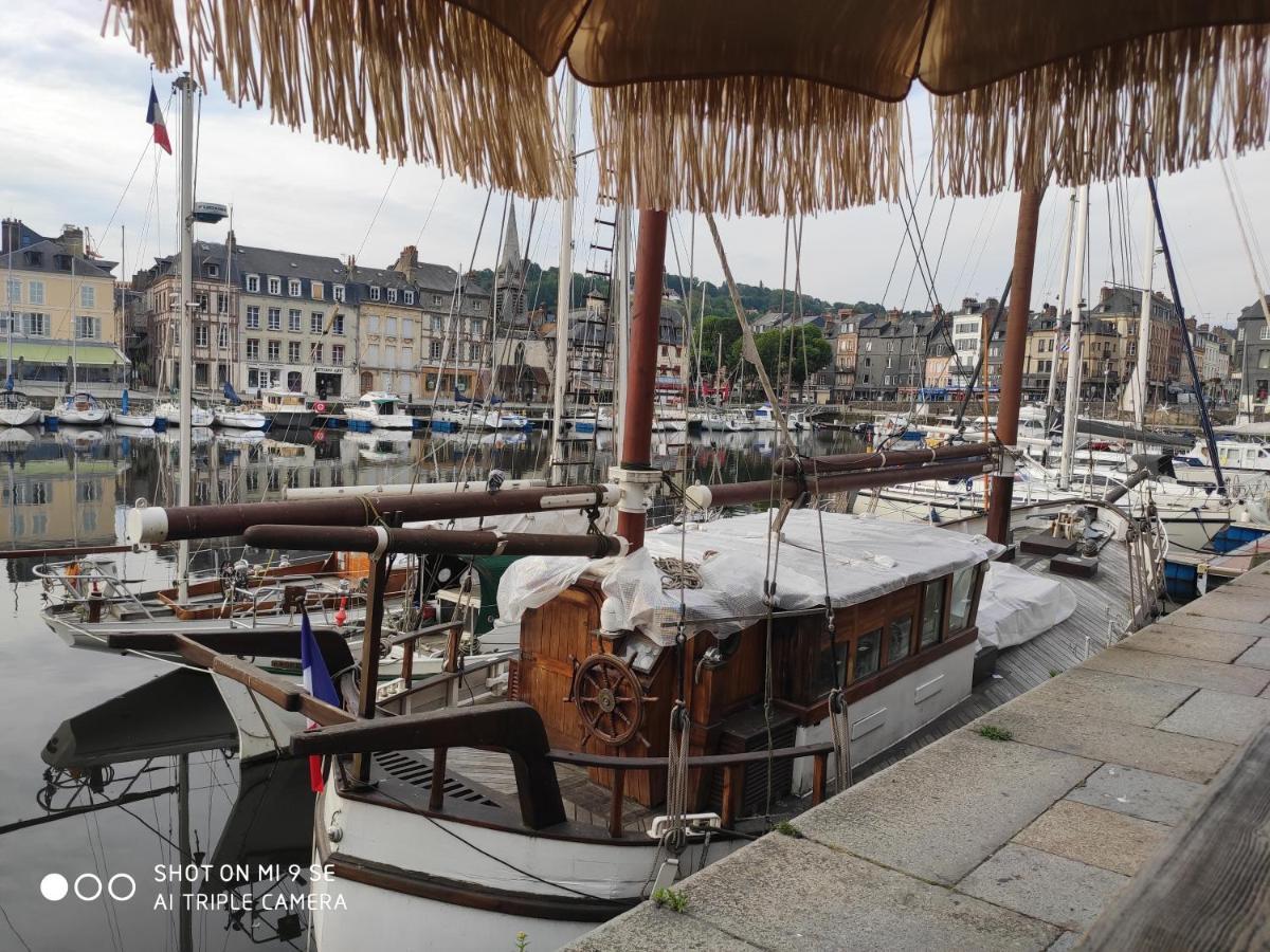 Proche Honfleur Gite Avec Piscine Équemauville Екстериор снимка